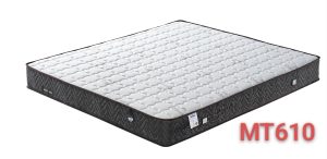 MT610